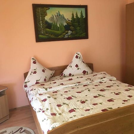 Pensiunea Vasilica Ceterasu Oncesti Luaran gambar