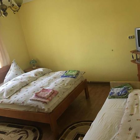 Pensiunea Vasilica Ceterasu Oncesti Luaran gambar