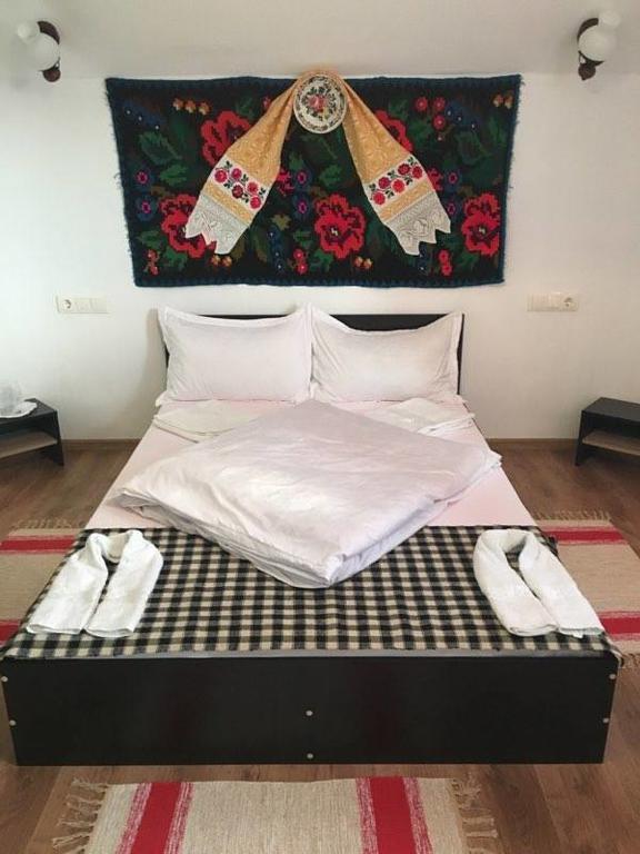 Pensiunea Vasilica Ceterasu Oncesti Luaran gambar